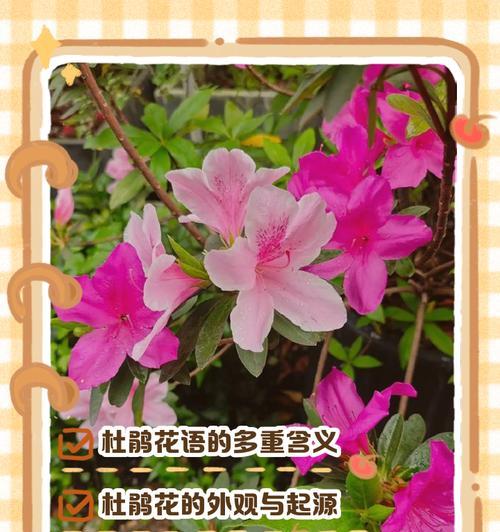 绿线草的花语是什么？绿线草象征着什么？