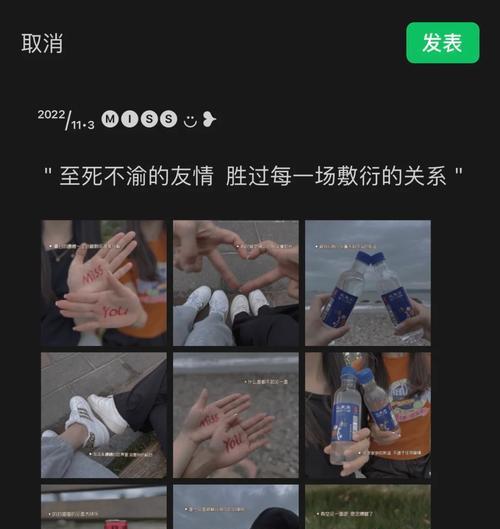 朋友关系花语有哪些？如何用花语维护友谊？