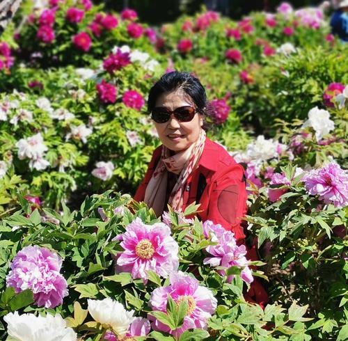 满天香的花语代表什么？如何用满天香表达情感？