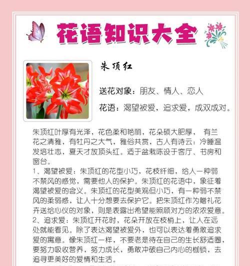 各类盆栽的花语有哪些？如何用盆栽花语表达情感？