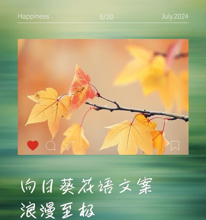葵花的花语有哪些神话故事？如何用葵花表达情感？