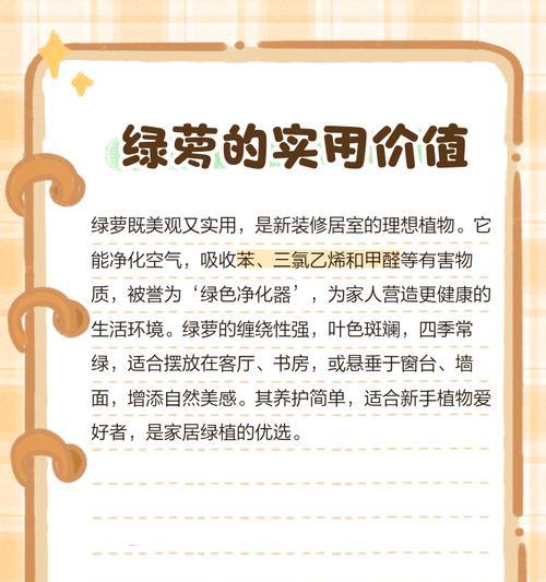 吊绿萝传递了哪些花语？它象征着什么？