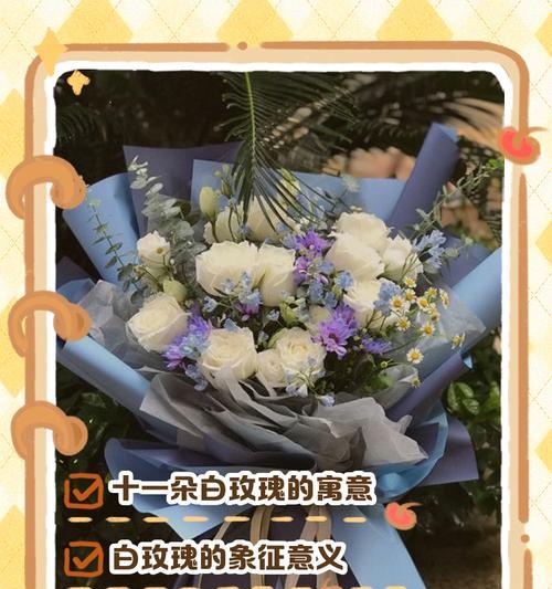 白瑰玫花语有哪些独特之处？代表了什么情感？