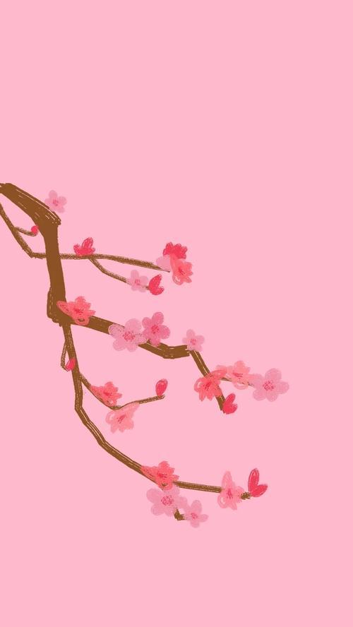 珍珠梅花的花语是什么？它传递了哪些信息？
