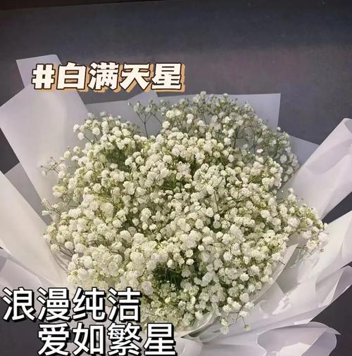 满天星的花语是什么？它在花语中代表什么？