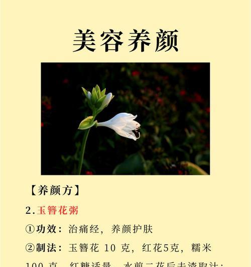 子萼玉簪的花语是什么？它代表了什么意义？