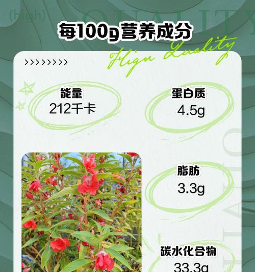 凤仙花语大全有哪些？如何挑选合适的凤仙花？