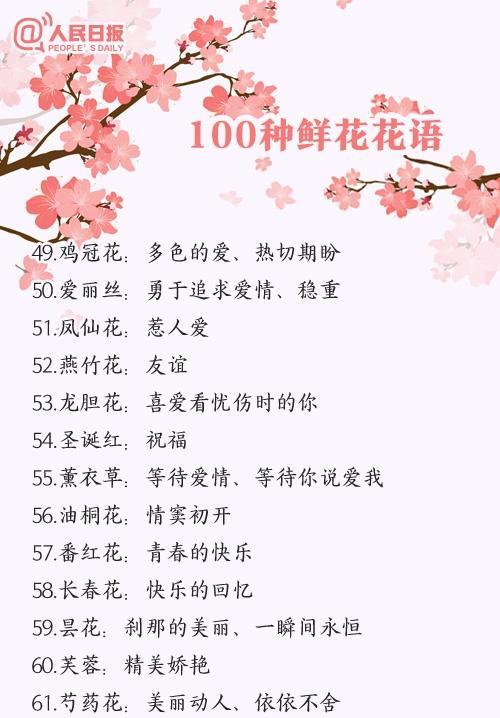 欧粉玫瑰花语代表什么？如何选择送给特别的人？