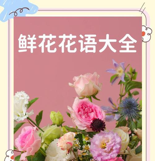 欧粉玫瑰花语代表什么？如何选择送给特别的人？