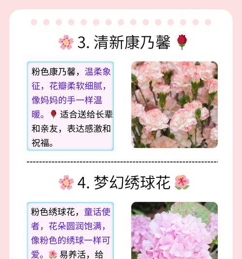 樱花花语象征着什么？如何在春天表达浪漫？