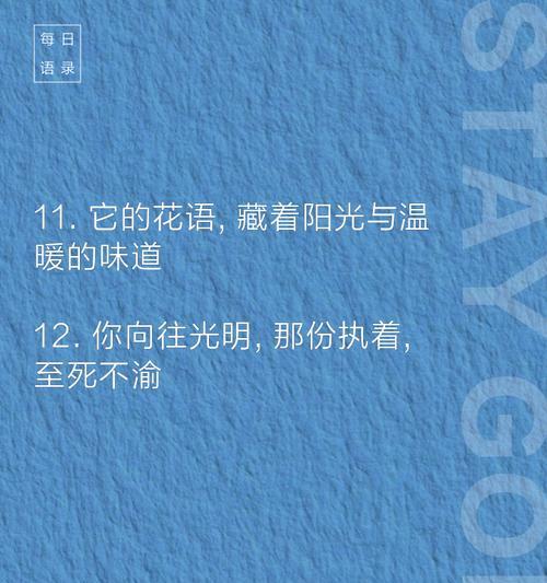 香日葵的花语有何深意？如何用它来传递祝福？