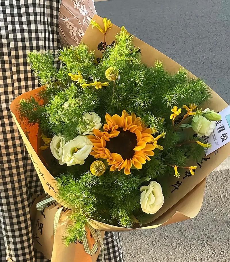 香日葵的花语有何深意？如何用它来传递祝福？