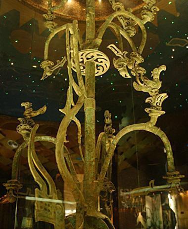 太阳神树的花语是什么？它象征着什么？