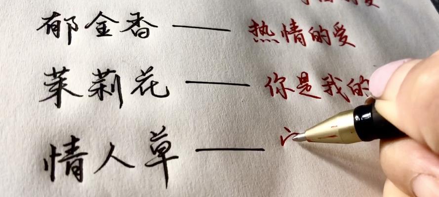 独本菊花语有哪些含义？如何用它来表达情感？