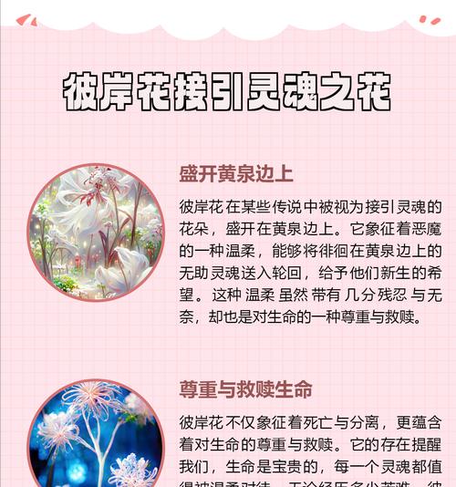 比安花花语有何深意？它在花语中扮演什么角色？