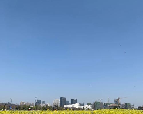 瓜萎花花语有何含义？它在花语中扮演什么角色？