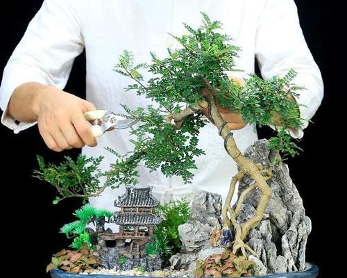 青香木的花语是什么？它象征着什么意义？