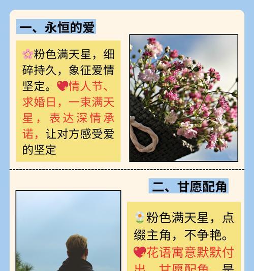 橘满天星花语有哪些？它有什么特别的含义吗？