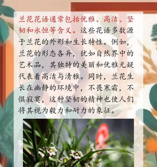 仙克兰花花语是什么？它象征着什么？