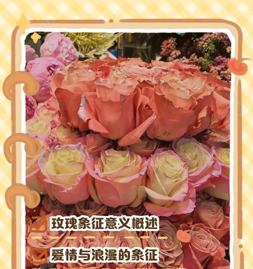 红羽玫瑰花语是什么？它象征着什么意义？