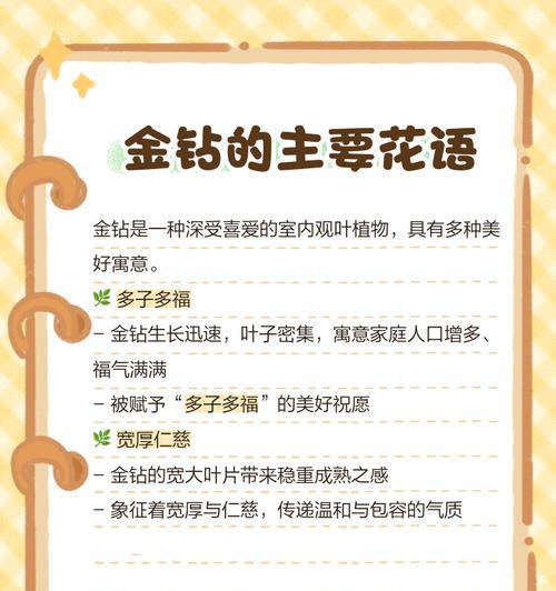 红金钻的花语是什么？