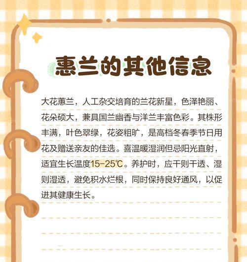 大朵惠兰花语有哪些含义？