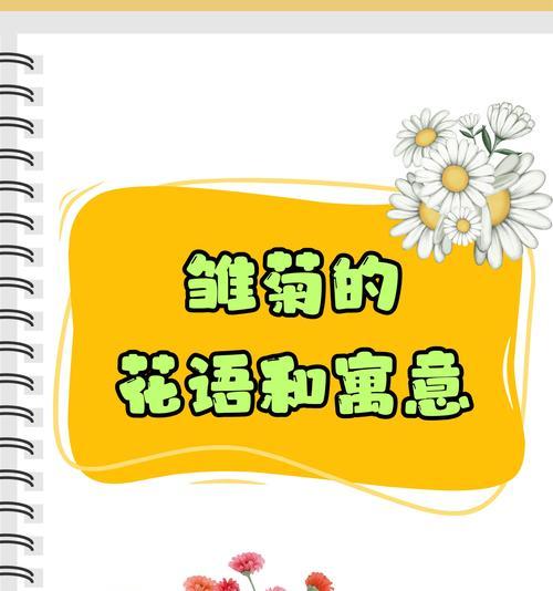 紫粉雏菊花语代表了什么含义？