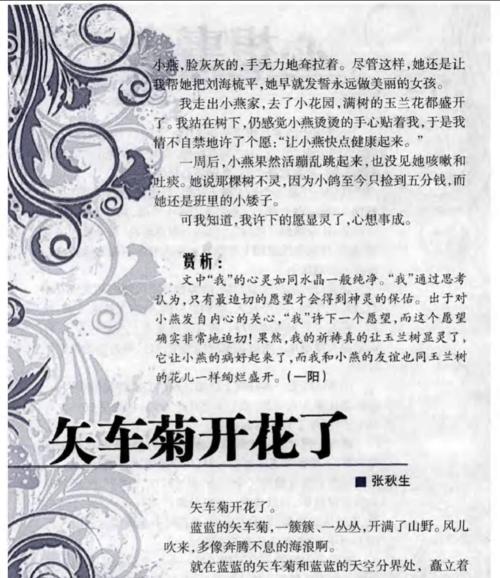 黄失车菊花语是什么意思？