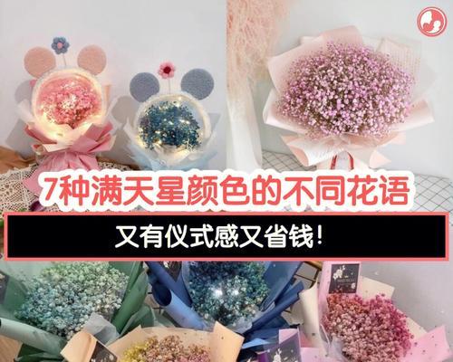 色满天星花语是什么意思？