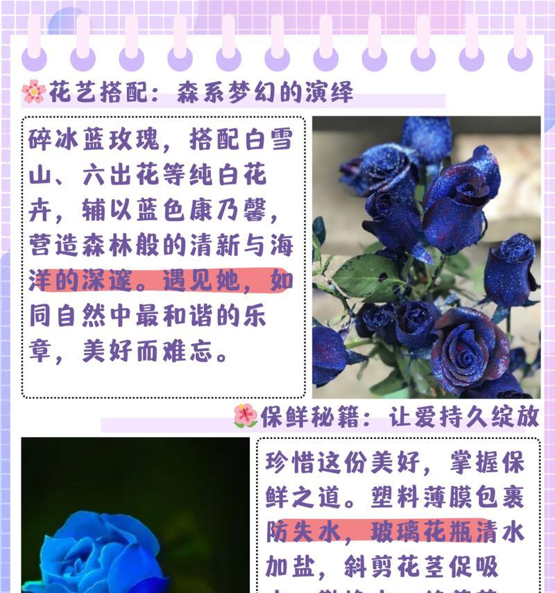 7颗玫瑰代表什么花语？如何赠送？