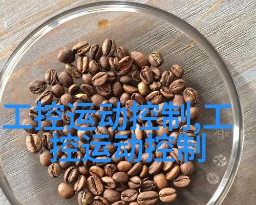 野蓝铃的花语有何深意？它象征着什么？