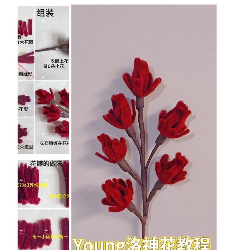 25朵花的花语是什么？它们各自代表什么意义？