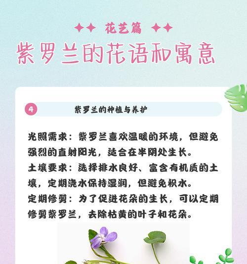 花语是风的花有哪些？它们的花语代表什么？