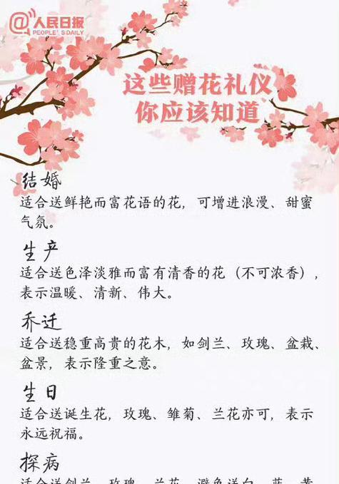 绯玉红花的花语是什么？它在花语中传递了哪些情感？