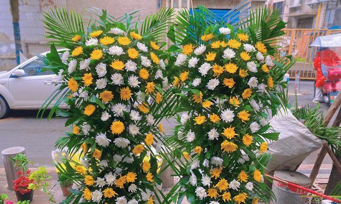 对花兰的花语代表什么？