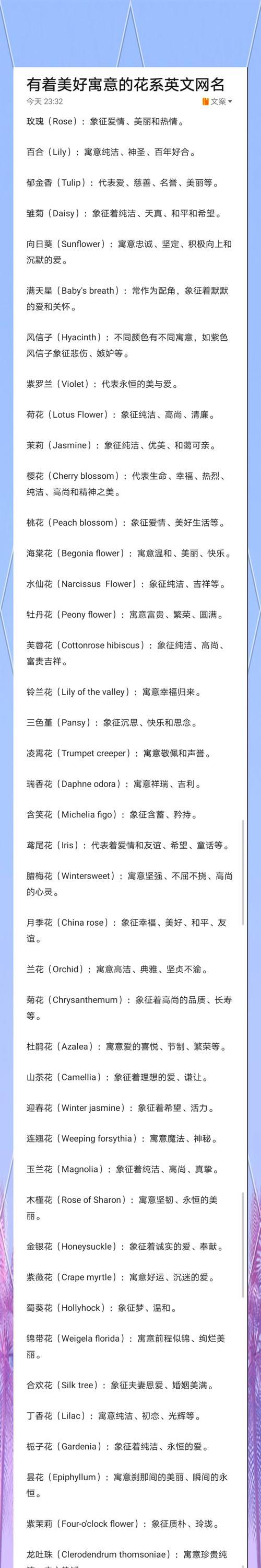 小凤凰花的花语有何寓意？