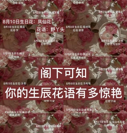 小凤凰花的花语有何寓意？