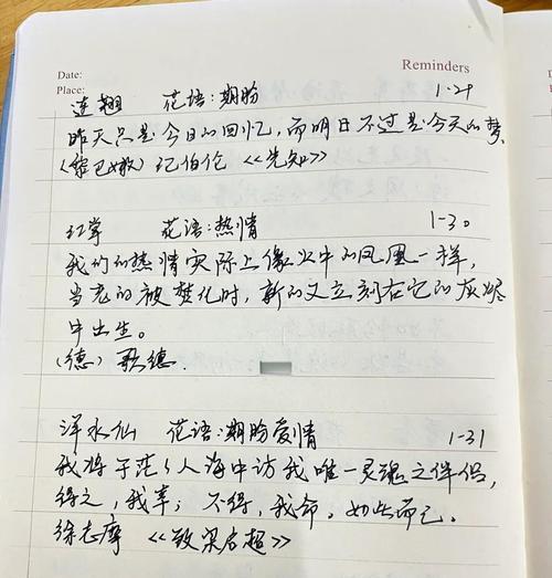 每天一花的花语有何深意？