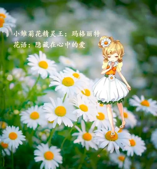 并帝连的花语有何含义？