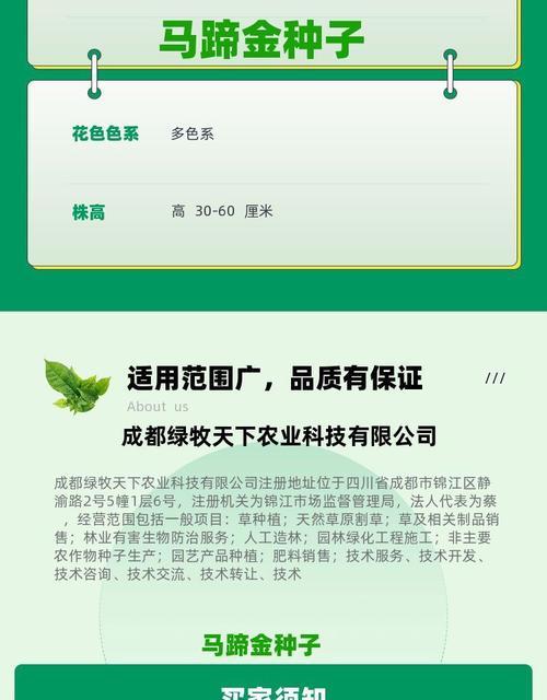 马蹄金的花语有何含义？