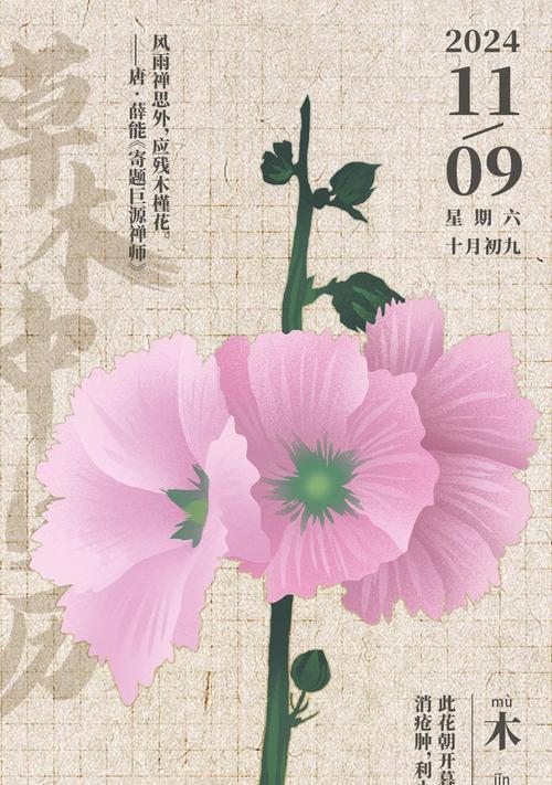 木槿花花语网提供哪些信息？