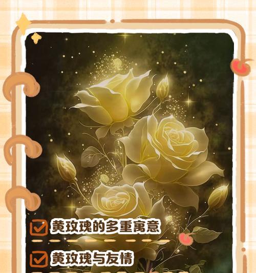 9朵黄玫瑰代表什么含义？
