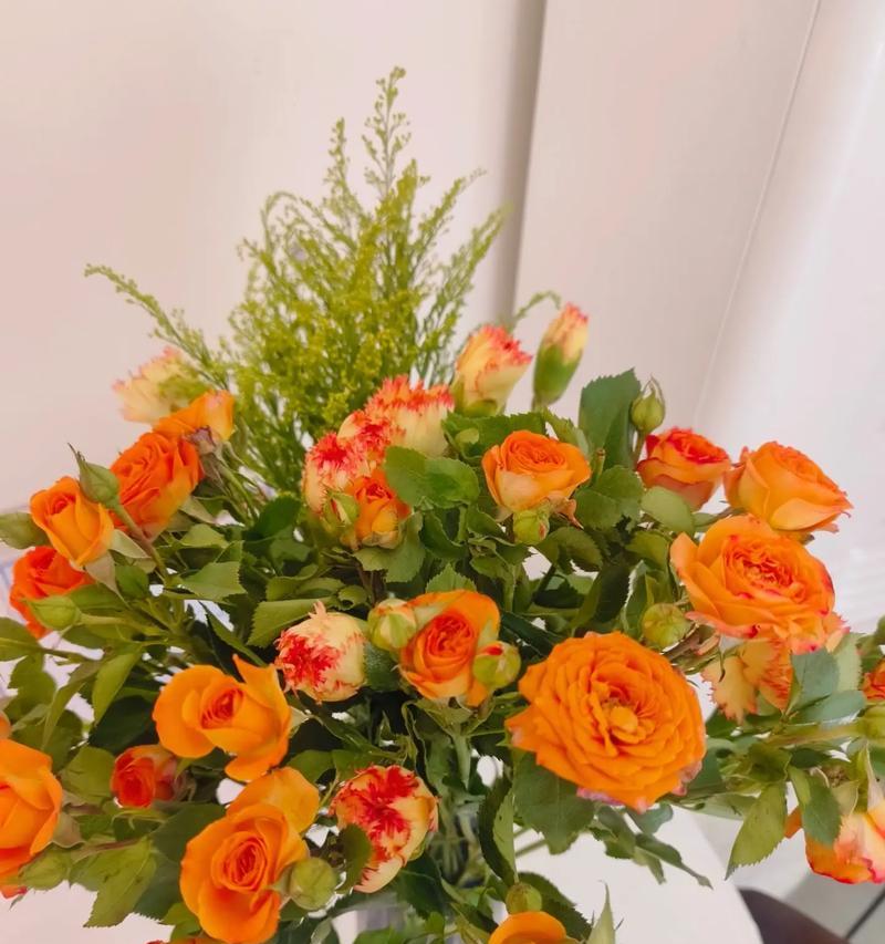 九叶草的花语有何深意？