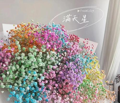满天星额花语象征着什么？