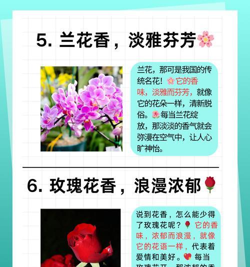 白紫茉莉的花语是什么？如何用它传递情感？
