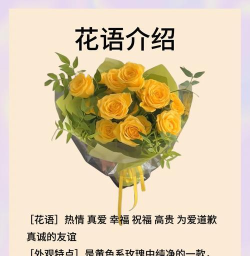 黄玫瑰的花语是什么？如何用黄玫瑰表达爱意？