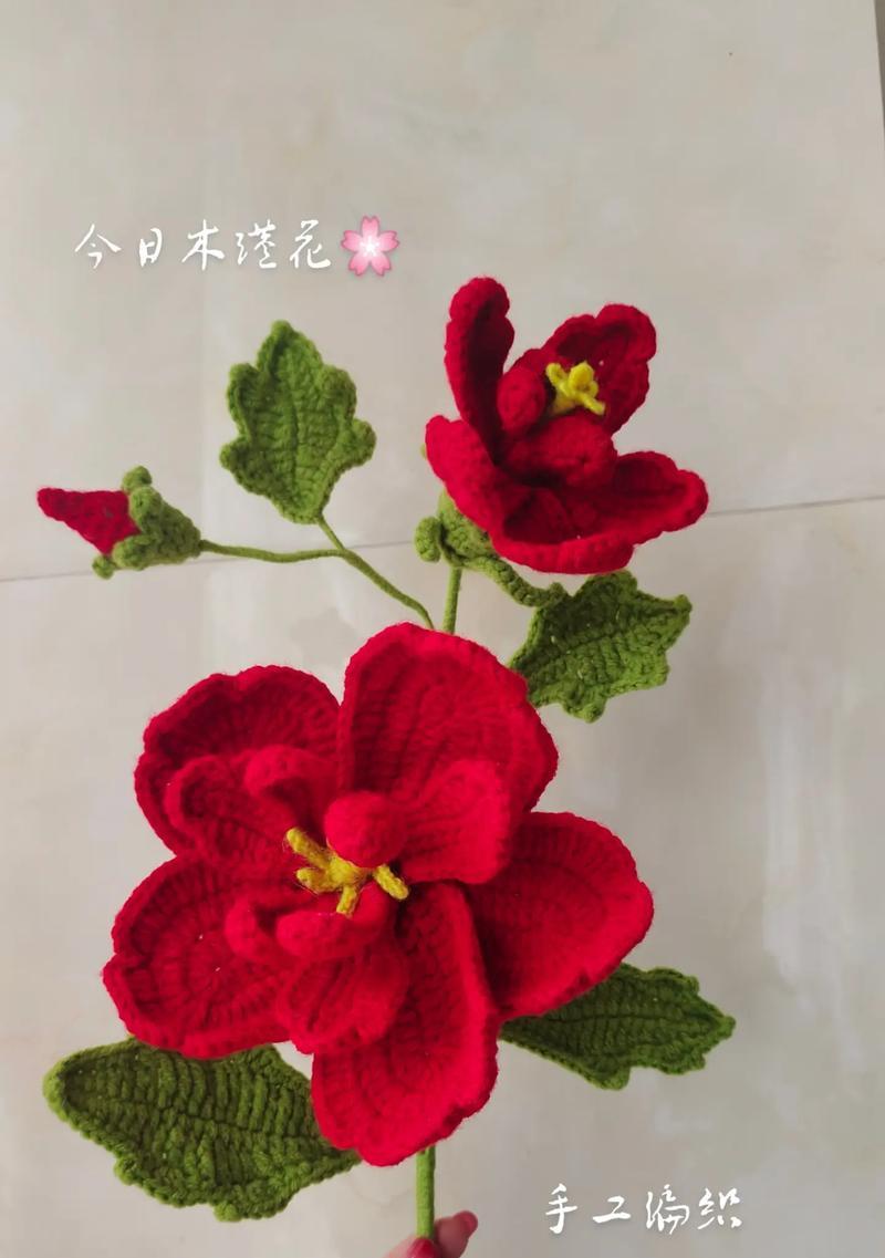 大花木槿的花语是什么？如何用它传递爱意？