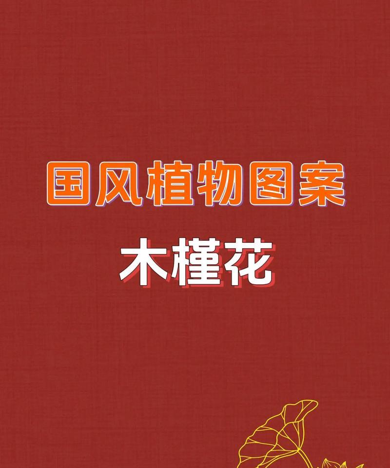 大花木槿的花语是什么？如何用它传递爱意？