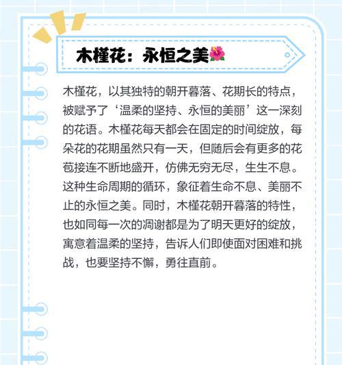大花木槿的花语是什么？如何用它传递爱意？