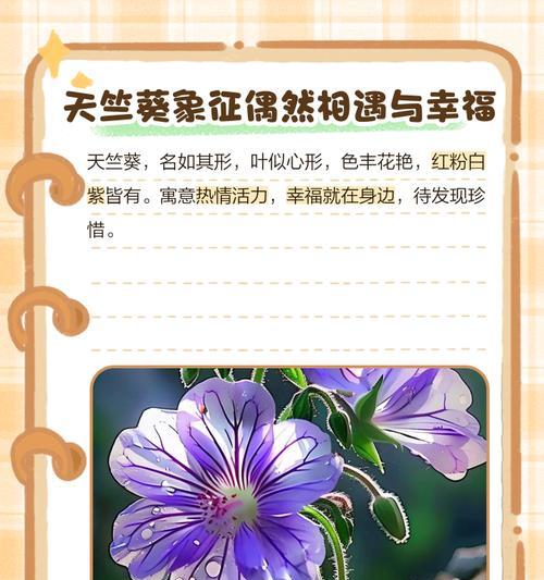 最美的花语是什么？如何用花语表达美好？